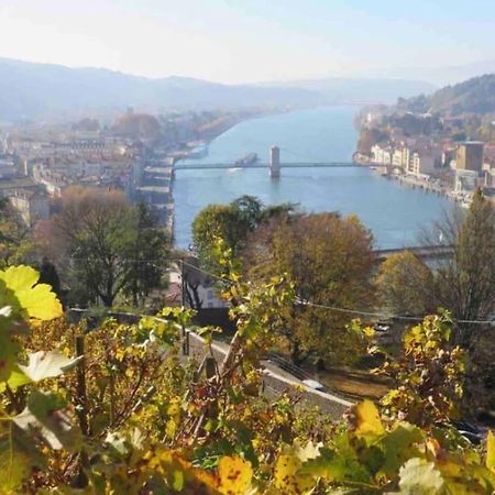 Appartement Vignes Vienne Nord Экстерьер фото
