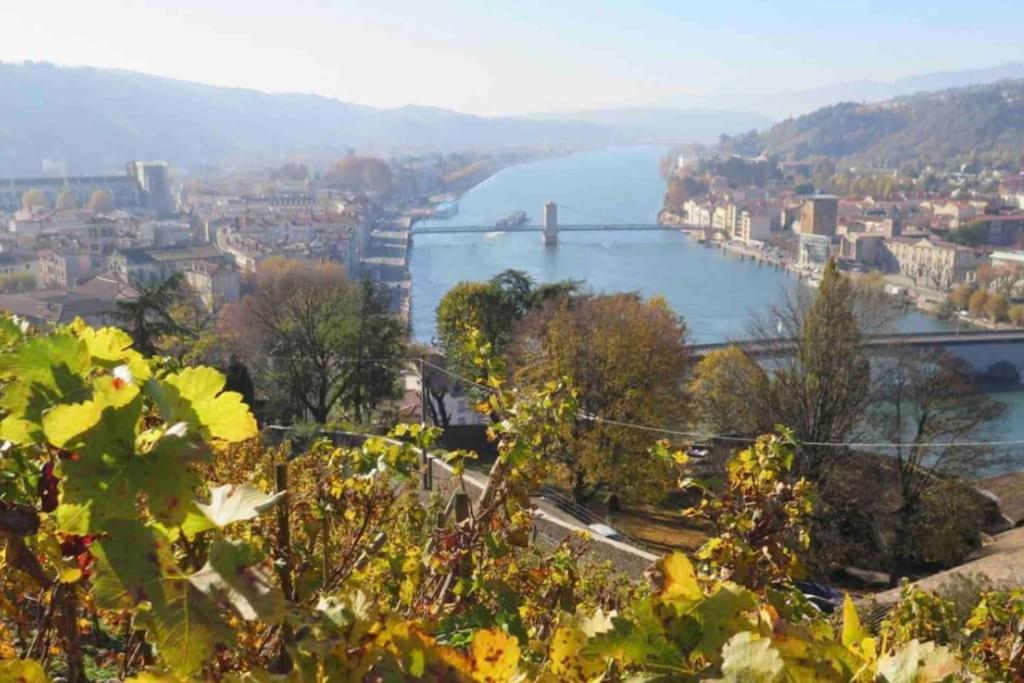Appartement Vignes Vienne Nord Экстерьер фото